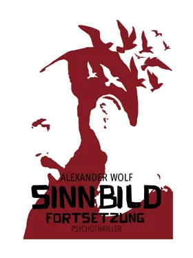 Alexander Wolf SINNBILD Fortsetzung обложка книги