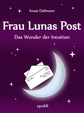 Anais Delmann Frau Lunas Post обложка книги