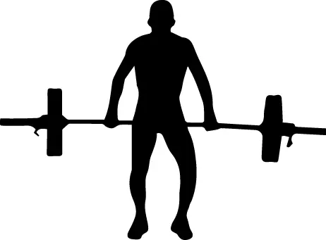 Effizientes Muskeltraining Mit Hypnose zum Erfolg Ohne Frust Mit - фото 5