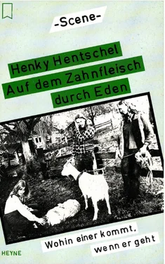 Henky Hentschel Auf dem Zahnfleisch durch Eden обложка книги
