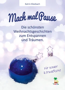 Katrin Kleebach Mach mal Pause - die schönsten Weihnachtsgeschichten zum Entspannen und Träumen обложка книги