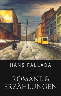 Hans Fallada Hans Fallada - Romane und Erzählungen обложка книги