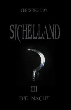 Christine Boy Sichelland обложка книги