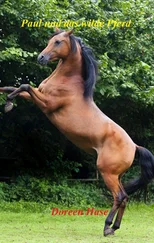 Doreen Hase - Paul und das wilde Pferd (Band 1)