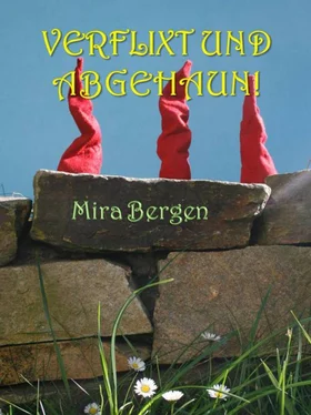 Mira Bergen Verflixt und Abgehaun обложка книги