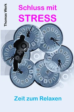 Thomas Werk Schluss mit STRESS обложка книги