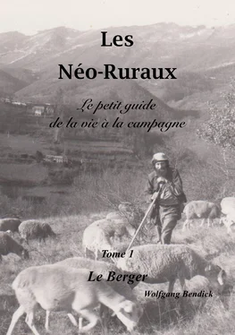 Wolfgang Bendick Les Néo-Ruraux Tome 1: Le Berger обложка книги