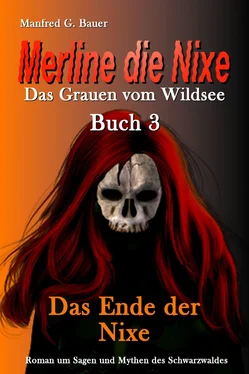 Manfred G. Bauer Merline die Nixe Das Grauen vom Wildsee обложка книги