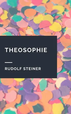 Rudolf Steiner Rudolf Steiner: Theosophie обложка книги