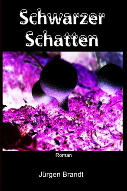 Jürgen Brandt Schwarzer Schatten обложка книги
