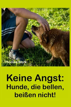 Thomas Werk Keine Angst: обложка книги