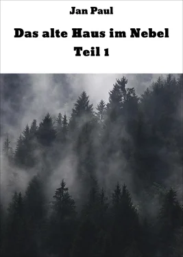 Jan Paul Das alte Haus im Nebel Teil 1 обложка книги
