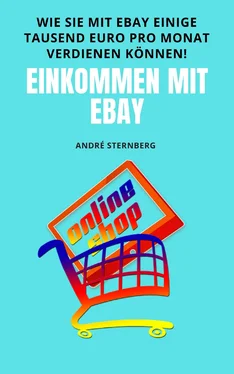 André Sternberg Einkommen mit eBay обложка книги