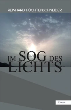 Reinhard Füchtenschneider Im Sog des Lichts обложка книги