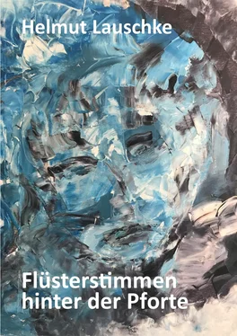 Helmut Lauschke Flüsterstimmen hinter der Pforte обложка книги