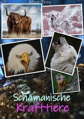 Alina Frey - Schamanische Krafttiere