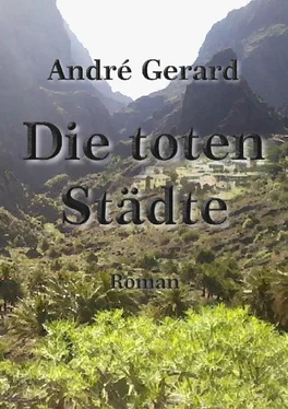 Andé Gerard Die toten Städte обложка книги