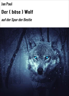 Jan Paul Der ( böse ) Wolf обложка книги