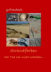gv Friedrich - Strandfarben