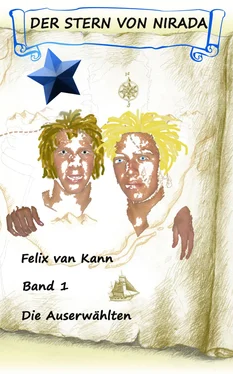 Felix van Kann Der Stern von Nirada - Band 1 обложка книги