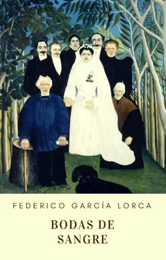 Federico García Lorca Bodas de sangre обложка книги