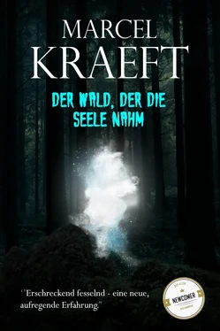 Marcel Kraeft Der Wald, der die Seele nahm. обложка книги