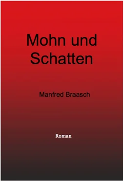 Manfred Braasch Mohn und Schatten обложка книги