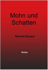 Manfred Braasch - Mohn und Schatten