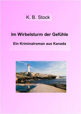 K.B. Stock Im Wirbelsturm der Gefühle обложка книги