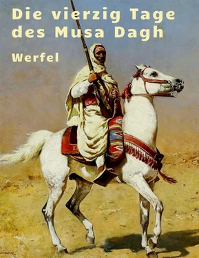 Franz Werfel Franz Werfel - Die vierzig Tage des Musa Dagh обложка книги