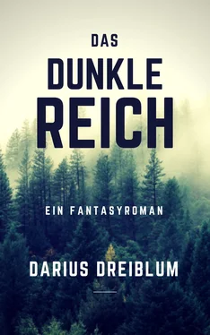 Darius Dreiblum Das dunkle Reich обложка книги