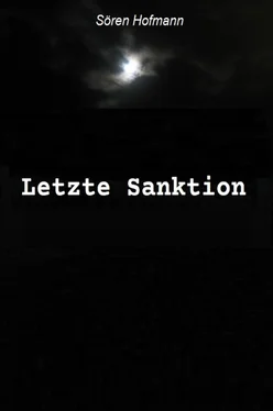 Sören Hofmann Letzte Sanktion обложка книги