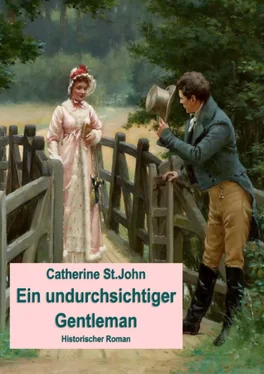 Catherine St.John Ein undurchsichtiger Gentleman. обложка книги