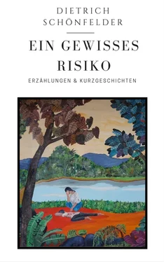 Dietrich Schönfelder Ein Gewisses Risiko обложка книги