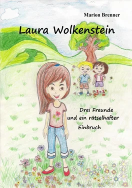 Marion Brenner Laura Wolkenstein обложка книги