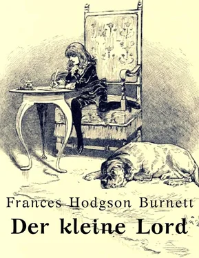 Frances Hodgson Burnett Der kleine Lord обложка книги