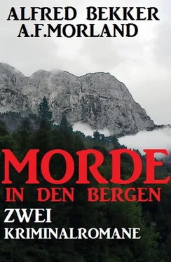 A. F. Morland Morde in den Bergen: Zwei Kriminalromane обложка книги