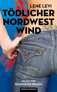 Lene Levi Tödlicher Nordwestwind обложка книги