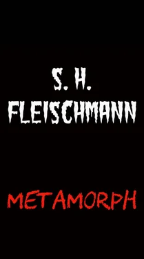 Sebastian Fleischmann METAMORPH обложка книги
