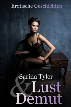 Sarina Tyler Lust & Demut обложка книги