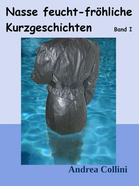 Andrea Collini Nasse feucht - fröhliche Kurzgeschichten - Band I обложка книги