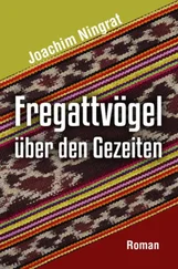 Joachim Ningrat - Fregattvögel über den Gezeiten