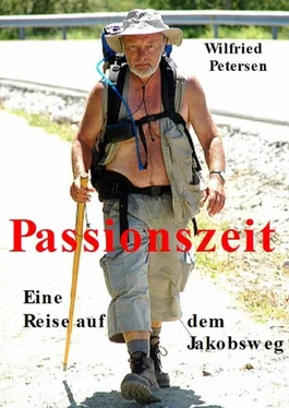 Wilfried Petersen Passionszeit обложка книги