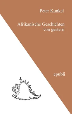 Peter Kunkel Afrikanische Geschichten von gestern обложка книги