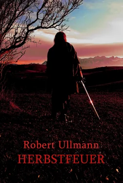 Robert Ullmann Herbstfeuer обложка книги