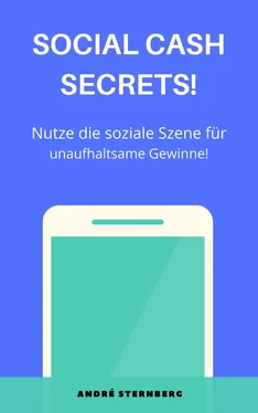 André Sternberg Social Cash Secrets! обложка книги