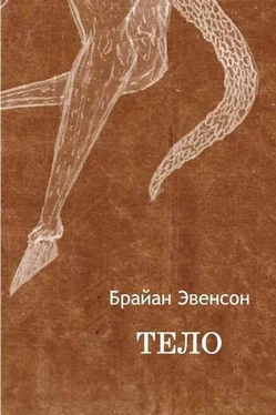 Брайан Эвенсон Тело обложка книги