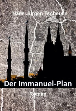 Hans Jürgen Tscheulin Der Immanuel-Plan обложка книги