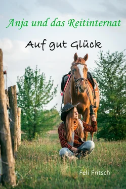 Feli Fritsch Anja und das Reitinternat - Auf gut Glück обложка книги