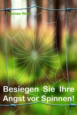 Thomas Werk Besiegen Sie Ihre Angst vor Spinnen обложка книги
